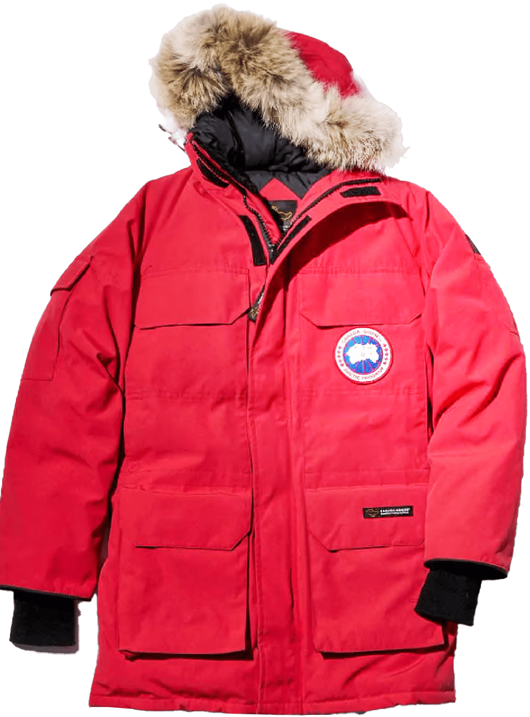 canadagoose ダウン